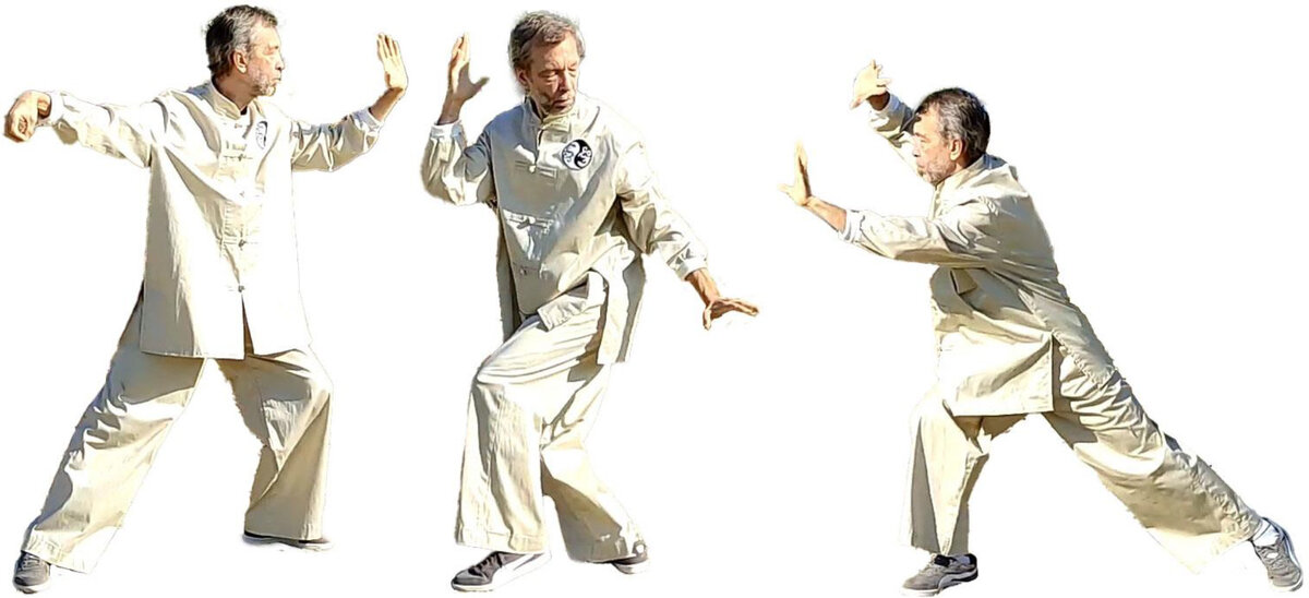 Формы из комплекса Тайцзи цюань Белого Дракона