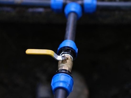     Фото: ru.freepik.com