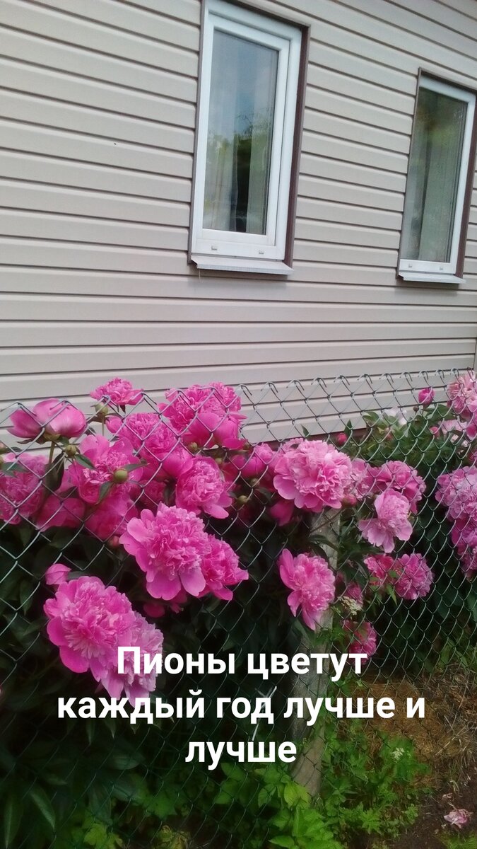 Это он, наш домик в деревне.