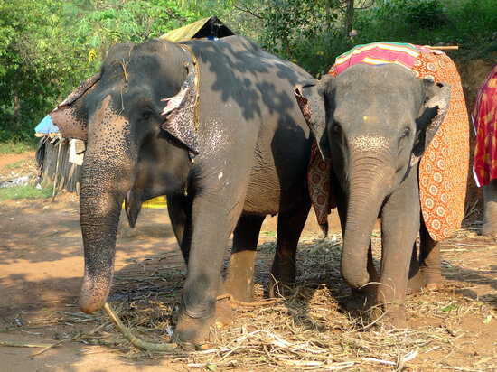   Геннадий Черкасов