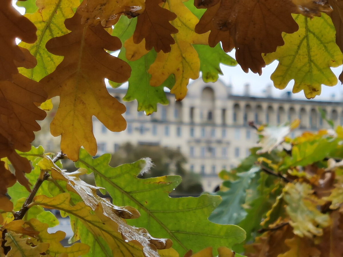 Фото автора канала