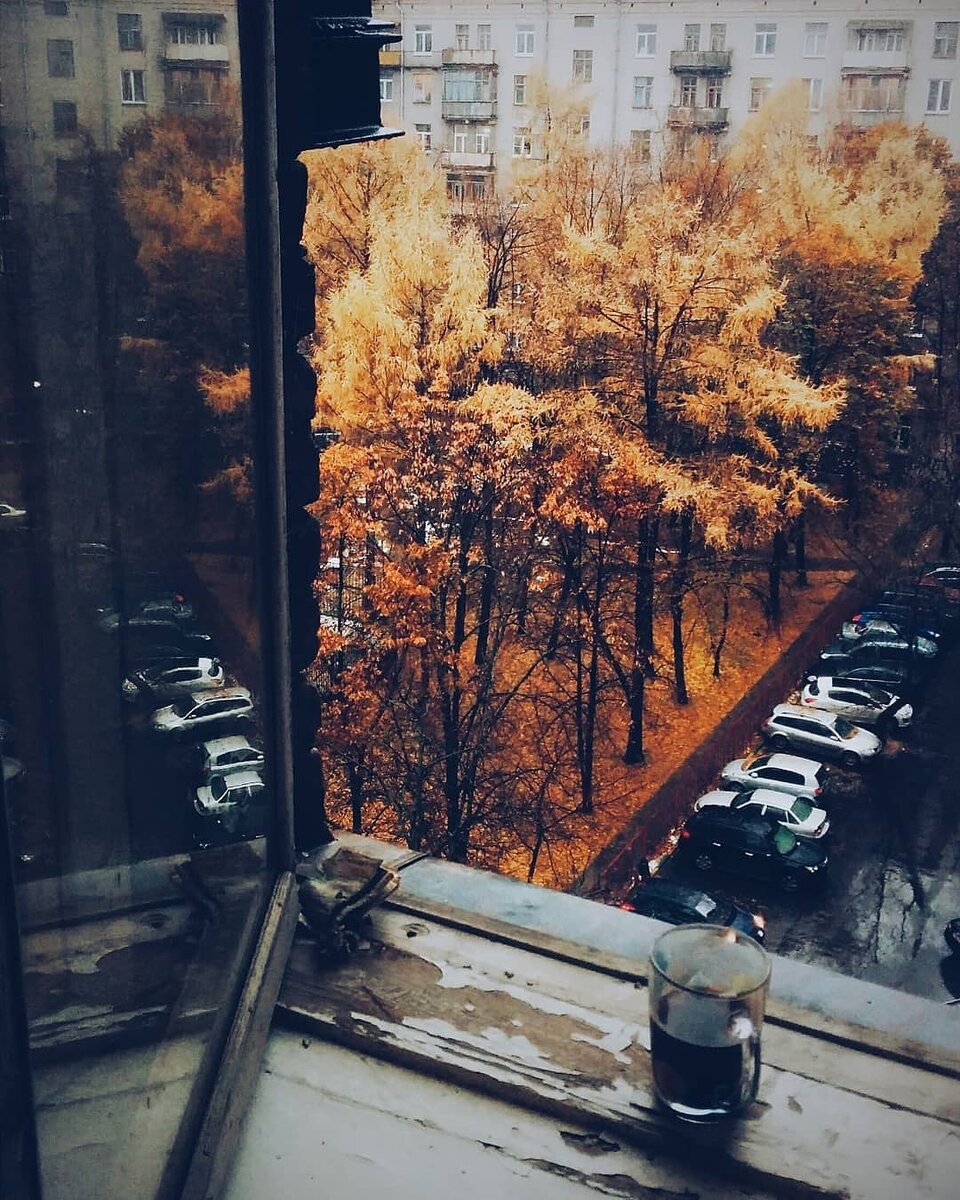 Фото из открытого источника
