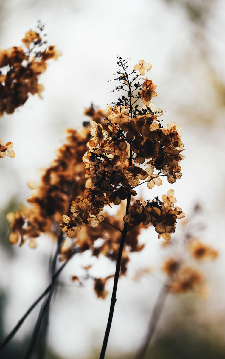 фото с сайта unsplash