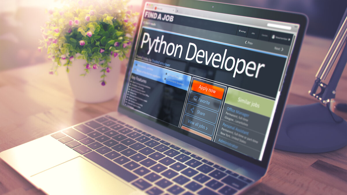 Python-разработчик выполняет все эти функции