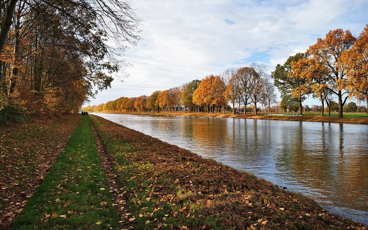 Фото с сайта wallpapersden.com