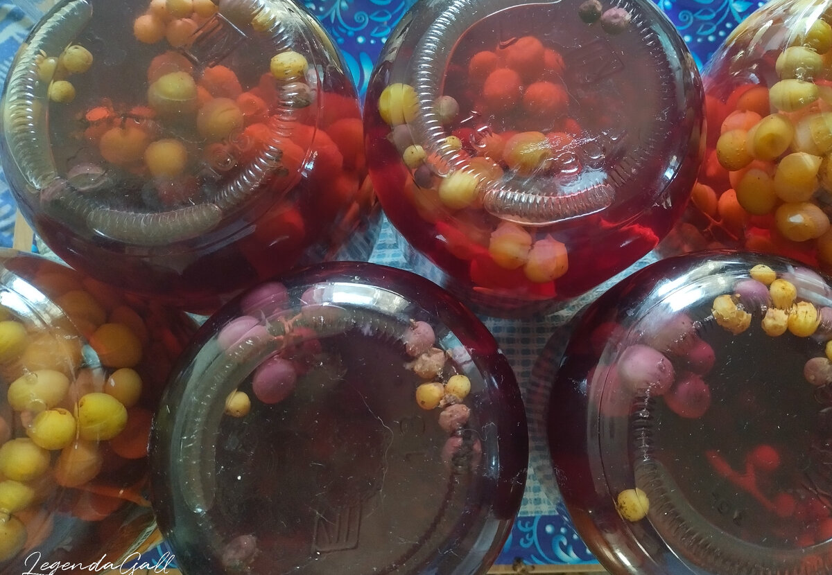 Мои 6 баночек