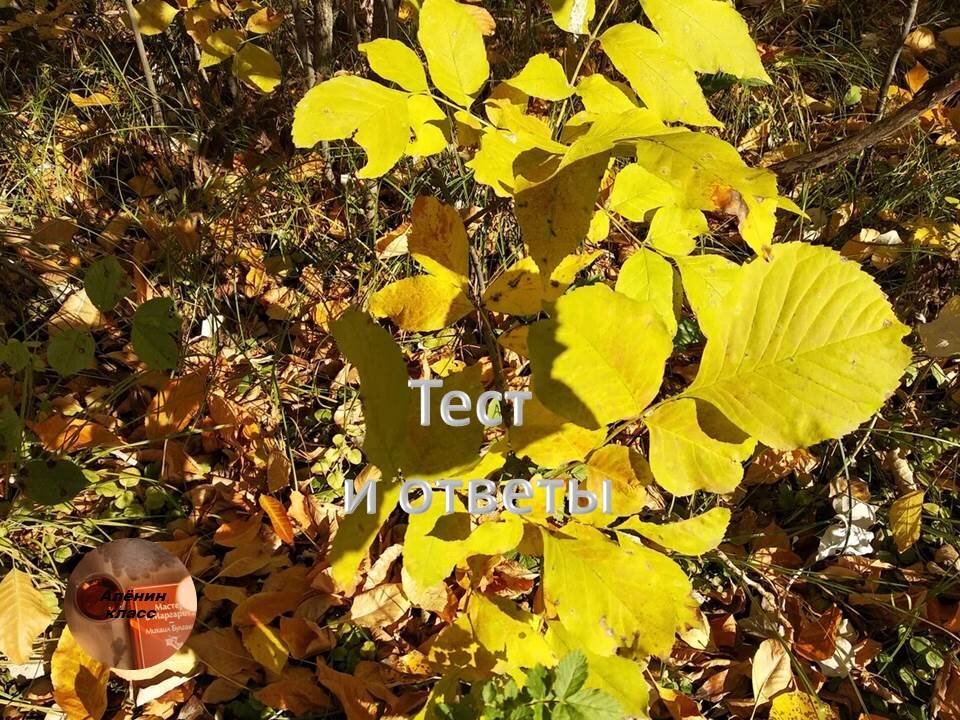 Доброе утро!