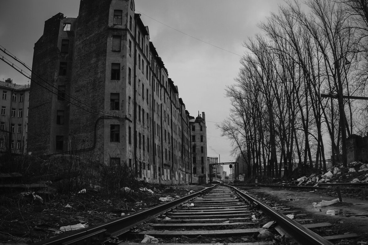 фото из интернета