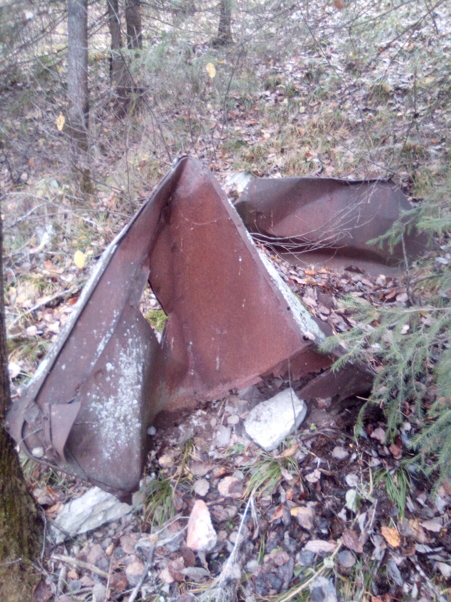 Фото автора.