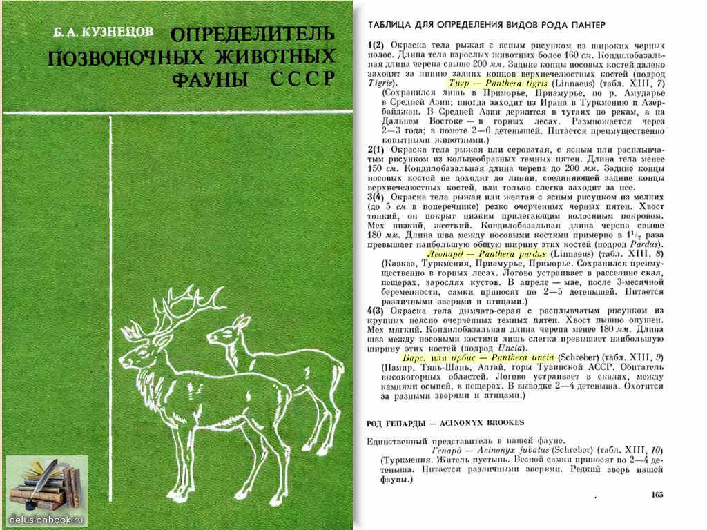 Определитель а б б а