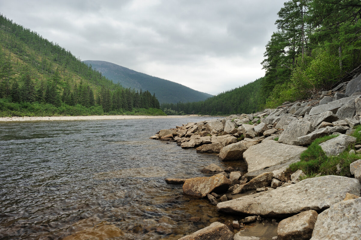 Тайга увидев. Тайга увидев. Восточная сибирь восточная сибирская тайга. Тайга. Тайга увидев.