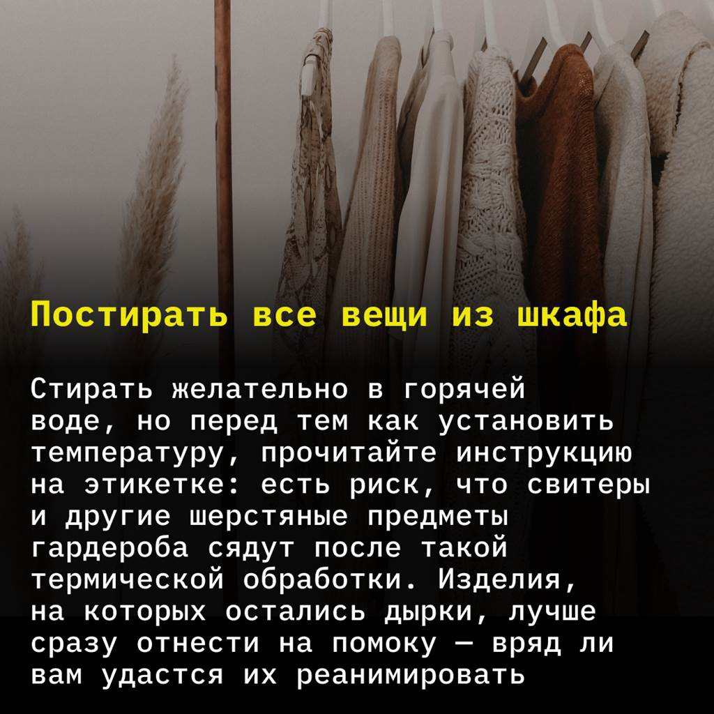 от моли в шкафу народные средства домашних условиях