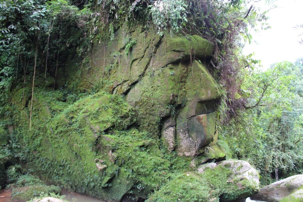 Изображение взято с сайта: https://earthlymission.com/rostro-face-harakbut-cultural-heritage-peru-amazon-rainforest/