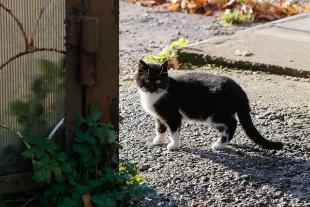   Фото из архива Калининград.Ru