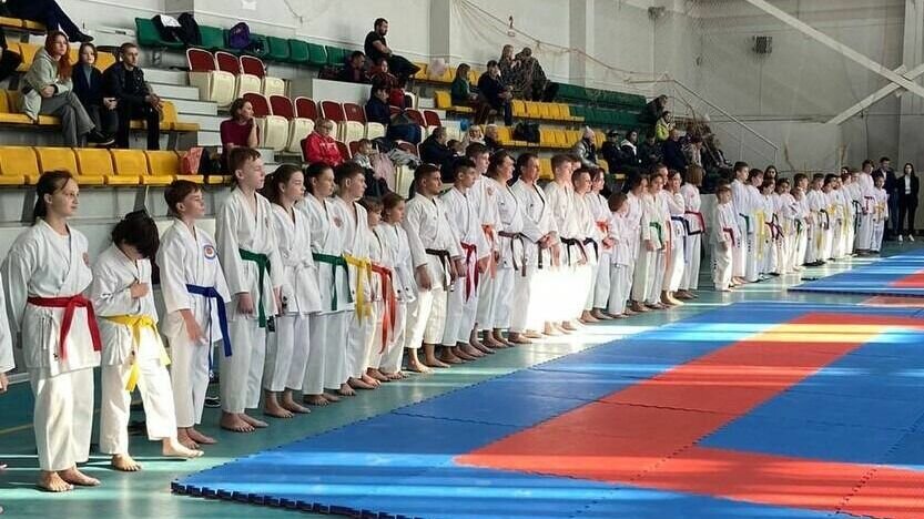     Соревнования проходили в течение трех дней в спорткомплексе «Южный». Спортсмены состязались в разных дисциплинах.