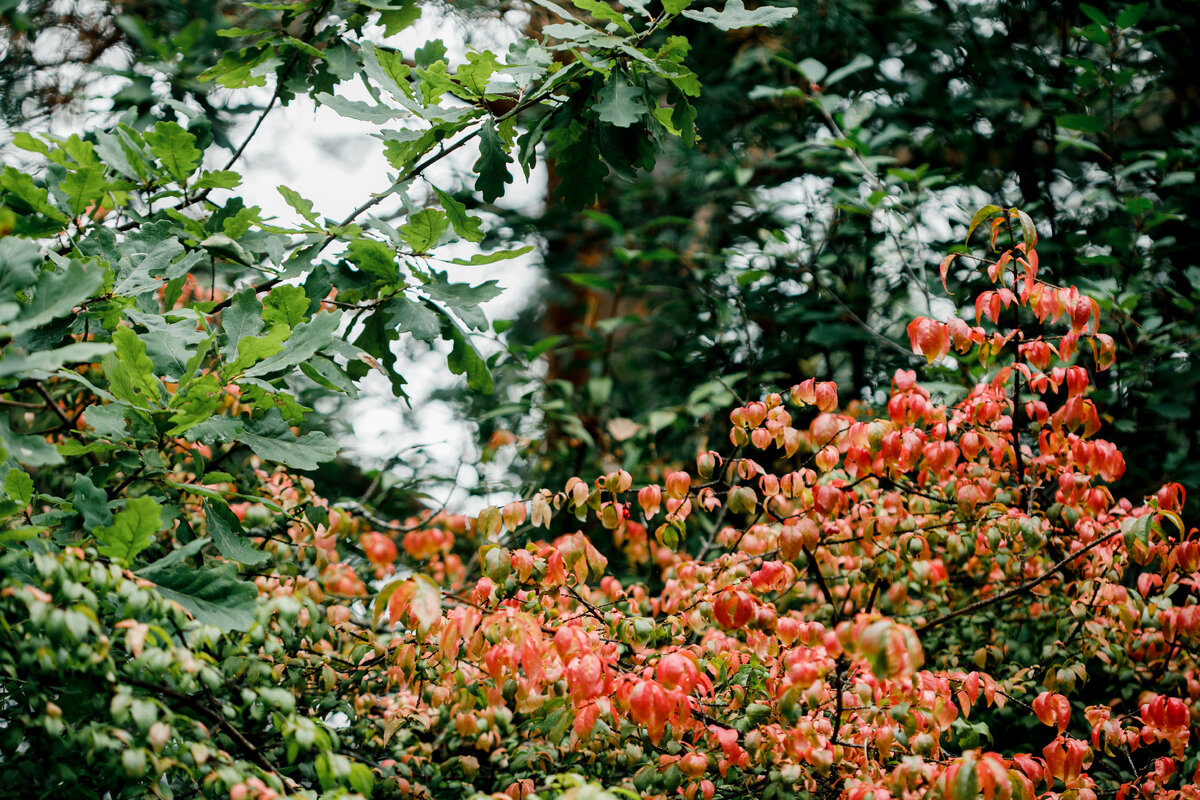 Фото из архива автора