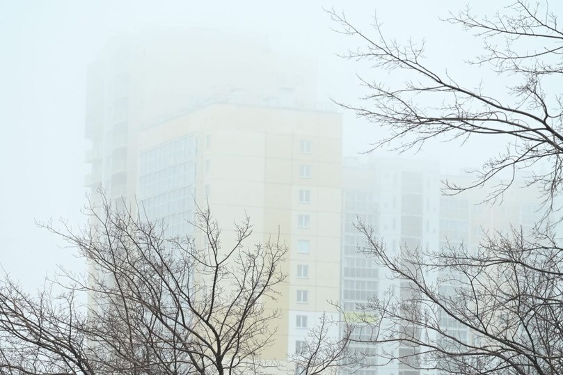     Фото: Людмила Ковалева