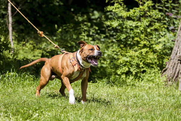 Обложка © Shutterstock