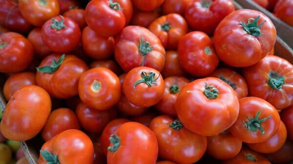   © Sputnik / Стас Этвеш