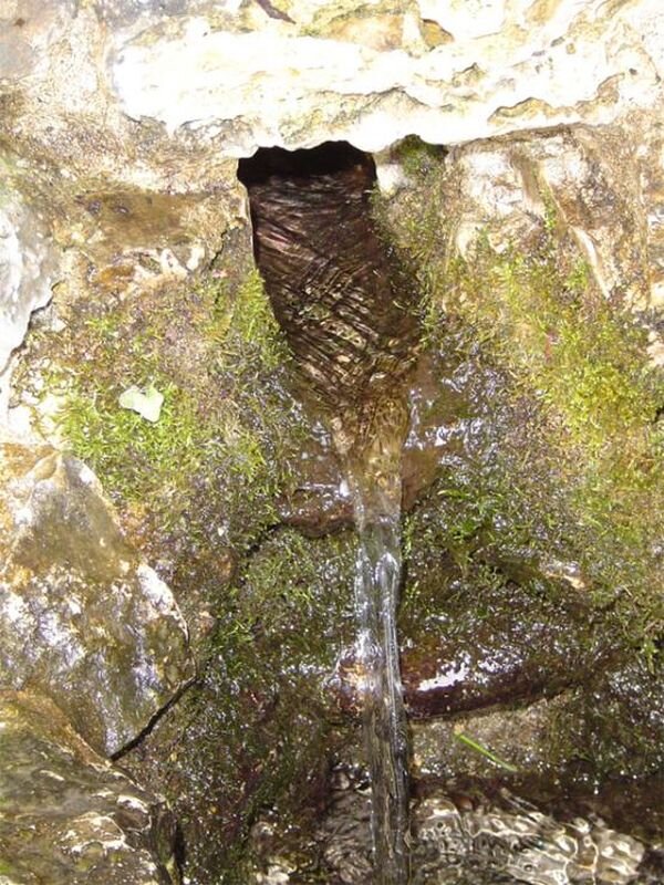 Источник фото: wikimedia