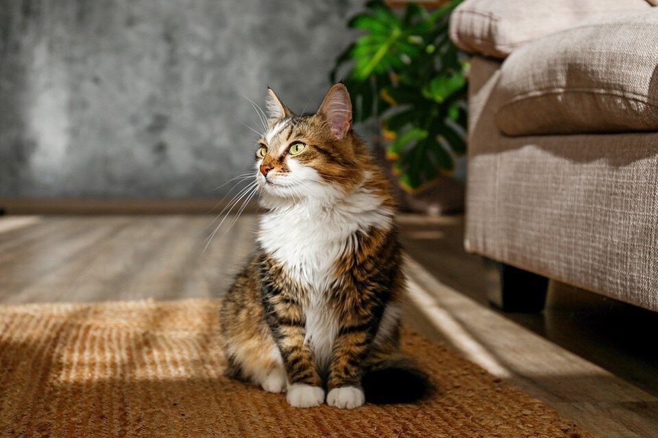       evrymmnt/ShutterStock/Fotodom.ru