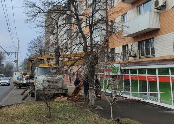 Источник фото: 1rnd.ru