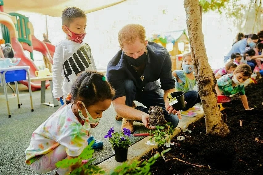 Фото из сети Интернет