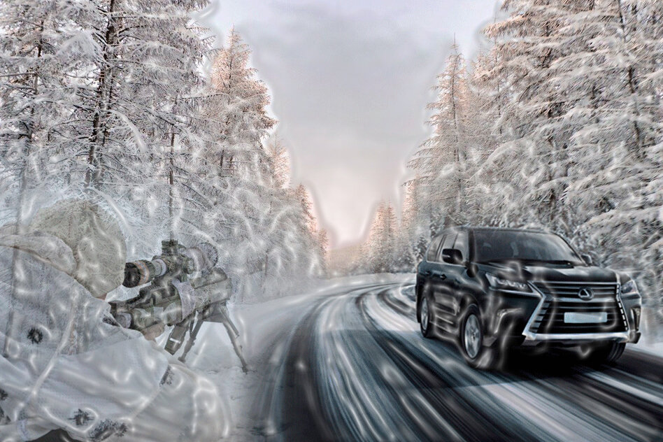 Коллаж из фото с открытых ресурсов интернета.