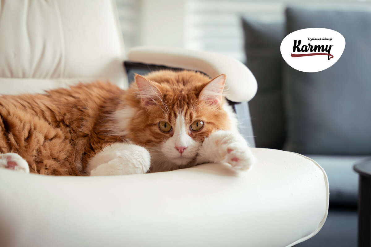 Авторское изображение с использованием картинки с фотостока "Unsplash" 