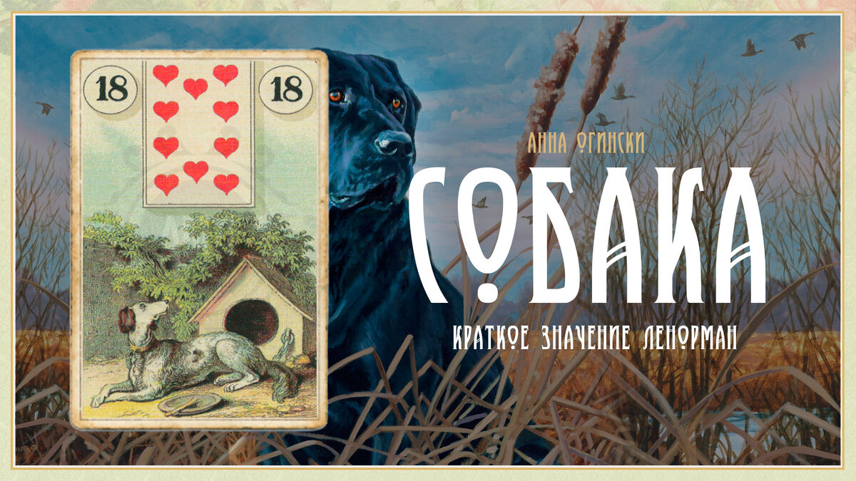 Значение Ленорман: Собака