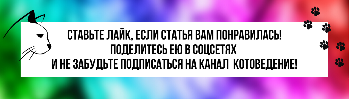 В природе кошка зубы, конечно, не чистит. Но в природе кошка охотится. Это помогает держать зубы в чистоте.-2