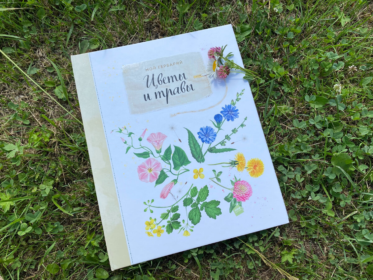Фото автора. Книга, появившаяся у нас очень вовремя 