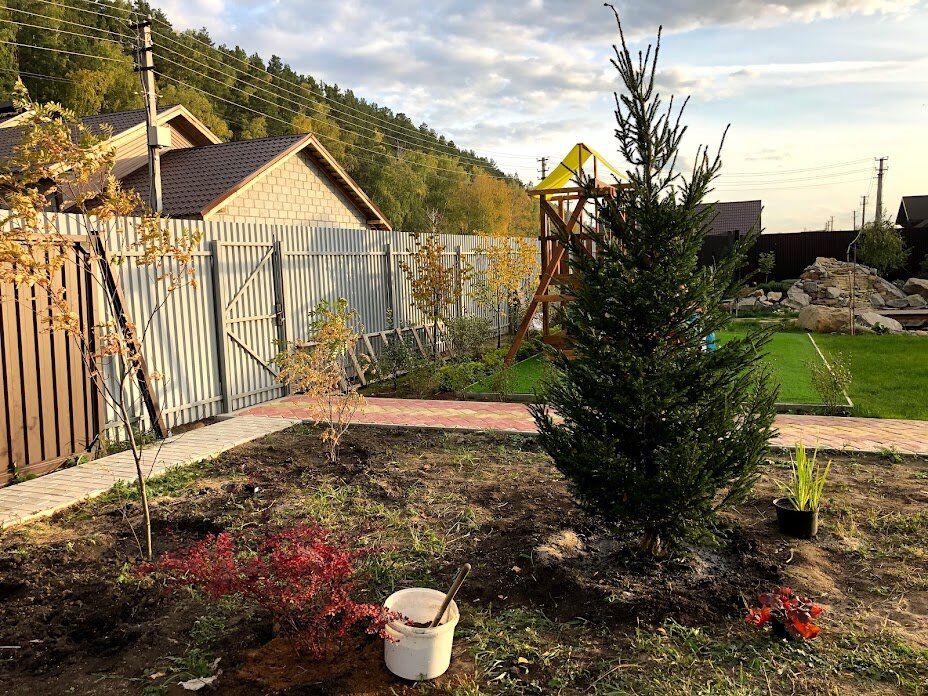 Фото заборов, ограждений и палисадников из штакетника