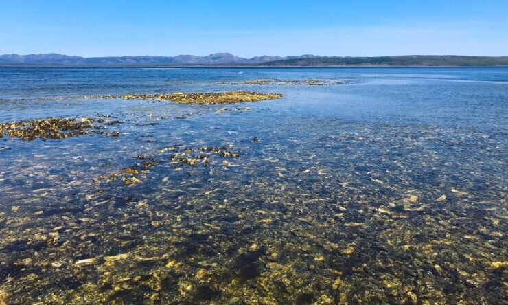  tourism.sakhalin.gov.ru, Сахалинская область 