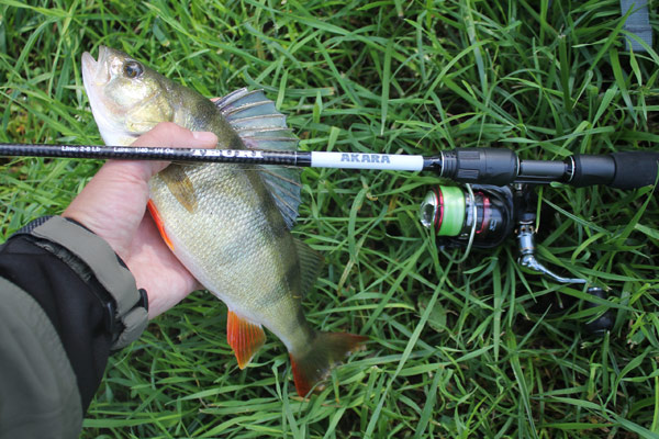 https://rybolov.org/club/fishing/equipment/kharakteristiki-lajt-spinninga-rejting-lajtovykh-udilishch - фото взято здесь.
