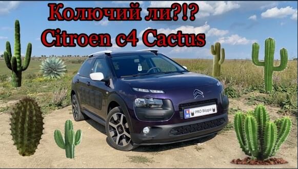 Citroen C4 cactus