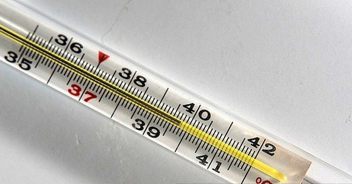 Фото из свободного доступа сети Интернет