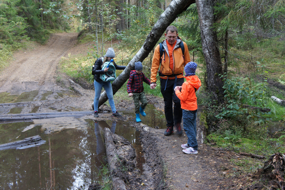 Лес, озеро и каменные руины. Поход одного дня по Гладышевскому ...