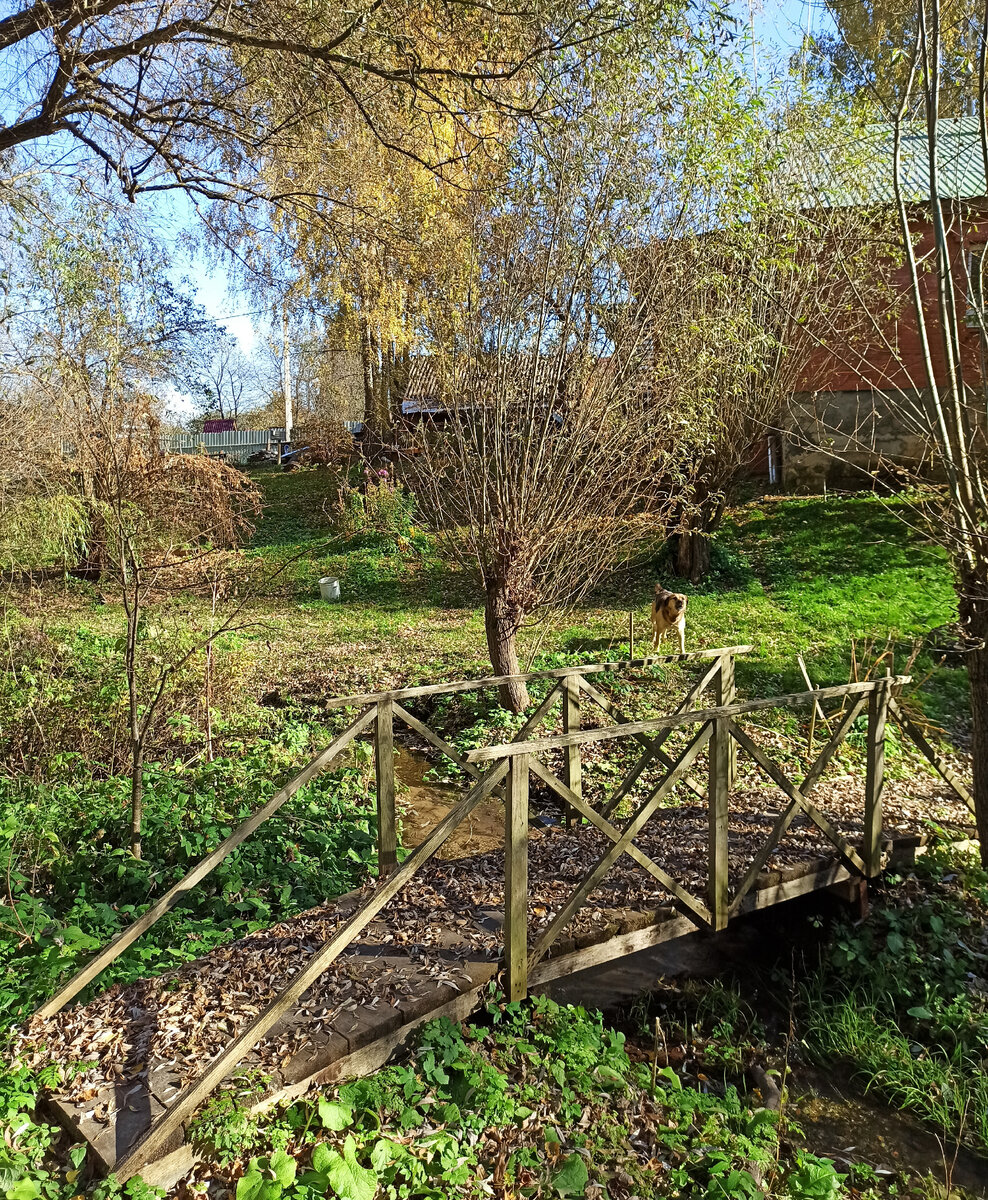 Село Оболенское — здесь был древний славянский город. Церкви и часовня |  ARINSKY | Дзен