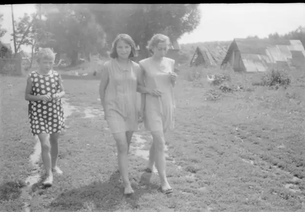 Здравствуйте, мои дорогие читатели. Я сам родился и вырос в городе, но, как у всех обычных детей, у меня была бабушка в деревне), к которой я ездил на каникулы...-6