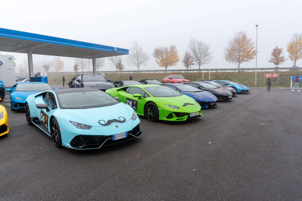 Всего тут 27 Ламборгини и все с... усами! Зачем быку усы? А вы прочитайте и узнаете!