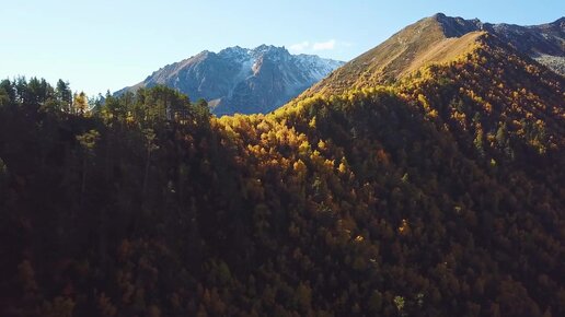 Аксаутское ущелье. Кавказ.