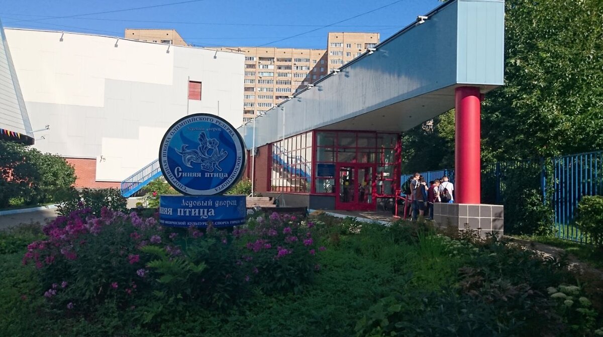 Ледовый дворец «Синяя птица»