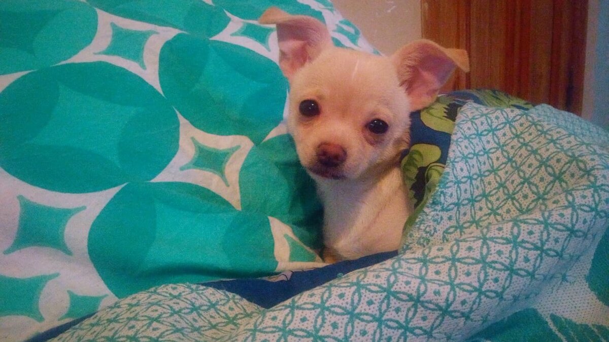 Смешная Санюша в глубоком детстве)