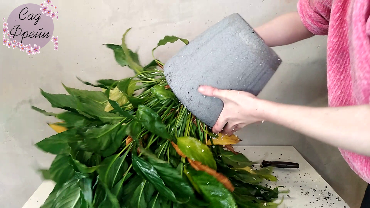 Если я когда-нибудь решу смонтировать это видео, обязательно добавлю мои "неудачные попытки"