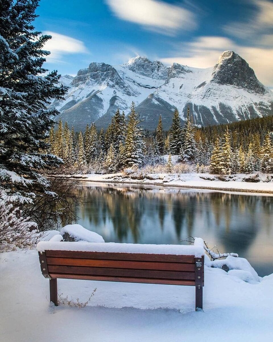 "В одиночестве тоже есть свой плюс. В состоянии покоя, один на один с собою - ты чист. И духовно и нравственно. Твои уши внимают тишине, твои уста молчат, а глаза чаще всего полуприкрыты. Ты внимаешь этому состоянию, погружаешься в него, как в прохладную воду. И только лишь твои мысли могут кричать, громче всех или вовсе отсутствовать, или быть наполненными, как чаша... И твоя задача, здесь и сейчас -одному, разобрать их по полочкам. Отделить нужное от ненужного". ( Цитата придуманная лично автором - Кариной Шестовой)