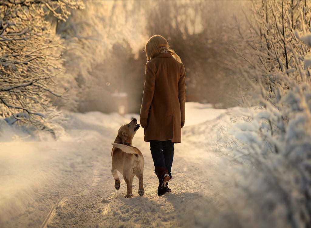 photar.ru