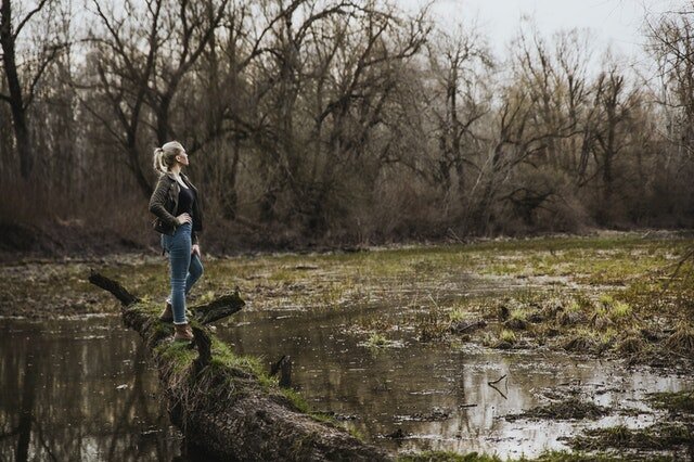 Фото автора David Bartus: Pexels