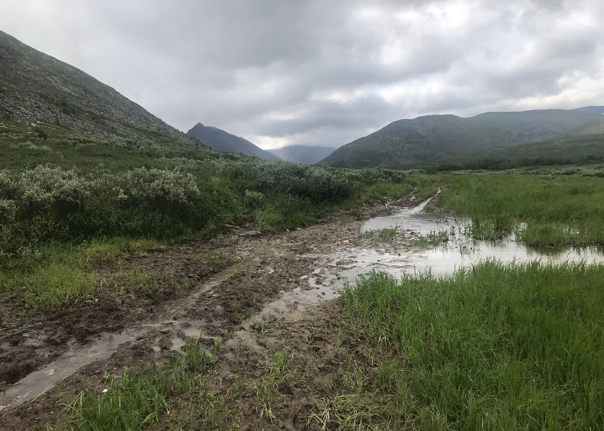 Дорога домой (огладываясь на Народную)