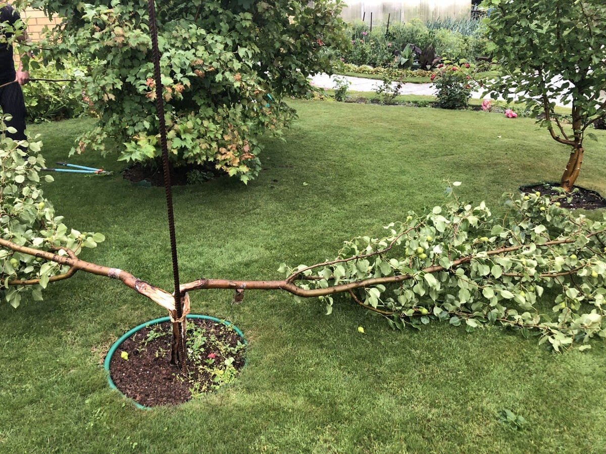 Вот так бывает иногда